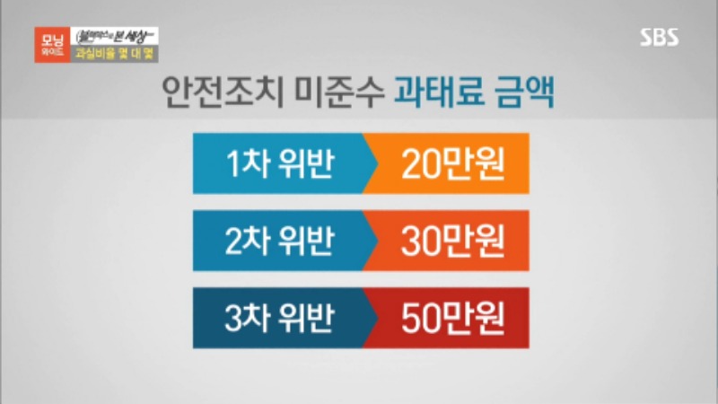 반려견 교통사고 동물보호법 몇대몇24.jpg